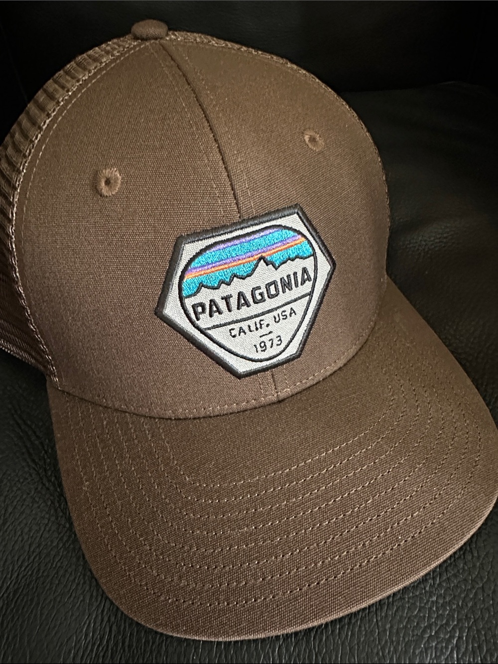 Patagonia Fitz Roy Hex Trucker Hat